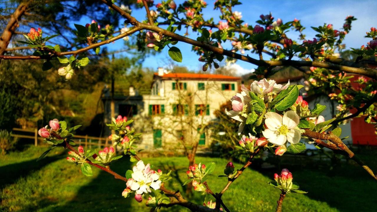 B&B Tre Ponti Castiglione Chiavarese Ngoại thất bức ảnh